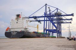 Pengamat sebut keberadaan Pelabuhan Kuala Tanjung sudah tepat