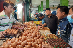 Satgas Pangan lakukan monitor langsung ke retail dan distributor jelang lebaran