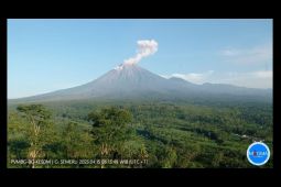 Aktivitas Semeru masih didominasi gempa erupsi setiap hari