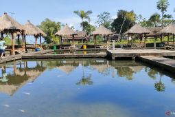 Main air, susur hutan hingga "ngeteh" rosella di kaki Raung Sumberwringin