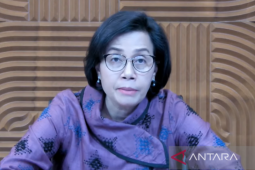 Menkeu masih waspadai krisis perbankan Eropa dan AS