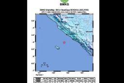 Terjadi 203 kali gempa bumi di Bengkulu selama 2023