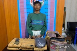 Kurir ganja di Madina diamankan polisi, tersangka warga Mompang Julu