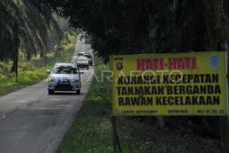 Jalur alternatif mudik jalan  lintas barat Jambi