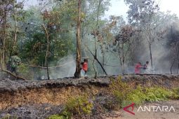 Cuaca panas picu Karhutla di Aceh Tamiang
