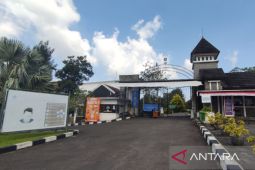 Pemudik dan wisatawan bisa melihat bunga bangkai raksasa mekar di Kebun Raya Cibodas