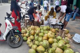 Pedagang kelapa muda di Ambon panen rezeki
