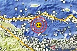 BMKG catat gempa dangkal guncang wilayah Indonesia