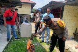 Polres Sorong Selatan terus ungkap jaringan pengedar narkotika