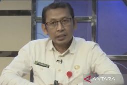 Pemprov Kaltim pastikan ketersediaan daging dan telur aman saat Lebaran