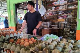 Lebaran 2023-Stok bapokting di Tapin aman