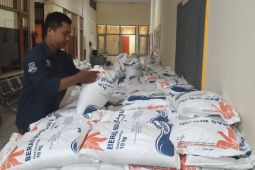 Penyaluran Beras cadangan Pemerintah di Maluku mencapai 90 persen