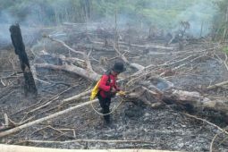 BMKG: 30 titik panas  terdeteksi di Kaltim pada 21 April