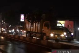 Ribuan warga Karawang tumpah ruah ke jalan gelar malam takbiran