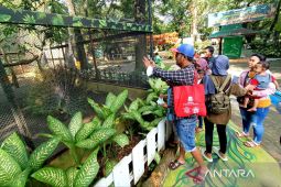 Libur lebaran, tingkat kunjungan KBS meningkat 300 persen