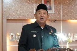 DPP tunjuk Syah Affadin sebagai Plt. Ketua  PAN Sumut