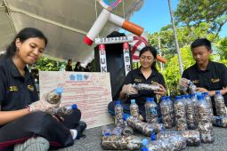 Puntung rokok berpotensi meracuni lingkungan