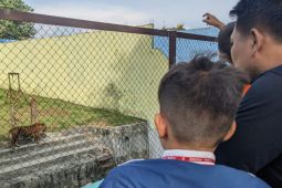 Medan Zoo targetkan 25 ribu pengunjung periode 22-30 April 2023