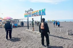 BPBD Lumajang imbau pengunjung pantai selatan waspadai gelombang laut
