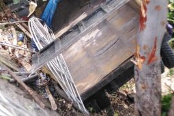 Empat orang meninggal dunia dalam kecelakaan maut di Aceh Besar, begini kronologinya