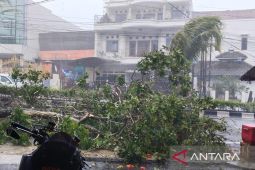 BPBD tuntaskan penanganan 3 pohon tumbang di jalur mudik Cianjur