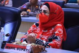 Wabup sebut investasi penting dalam pertumbuhan ekonomi Seruyan