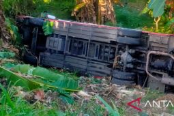 Polres Jembrana tangani 11 orang terluka akibat bus masuk jurang