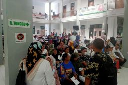 1.500 tenaga P3K guru ikuti tes kesehatan jiwa di RSKD  Maluku