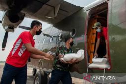 Atasi karhutla di Sumsel dengan teknologi modifikasi cuaca