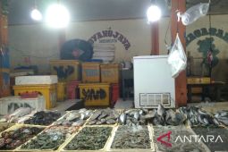 Libur Lebaran, permintaan ikan laut melonjak 30 persen