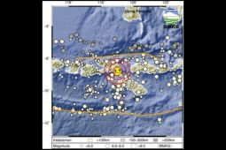 Warga Kota Bima rasakan guncangan kuat gempa M 5,7