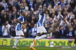 Chelsea telan kekalahan 1-3 atas Brighton