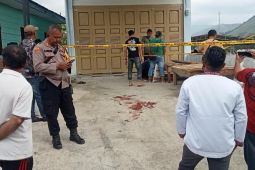 Kakak beradik di Samosir saling bacok, 1 tewas