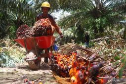 Ratusan buruh di Tapin bakal ikut aksi May Day 2023