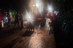 Banjir rendam 15 hektare lahan sawah petani di Sipisang Agam