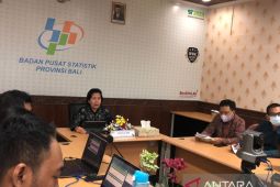 Angkutan udara sumbang inflasi tertinggi di Denpasar dan Singaraja