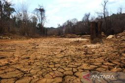 Hadapi El Nino, Pemkab Tapin perhatikan ketahanan air