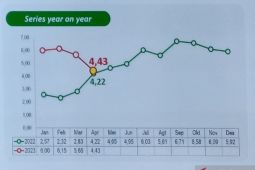 Inflasi Bengkulu berpotensi kembali turun pada Mei