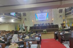 Kalsel hadapi masalah banjir dan tambang