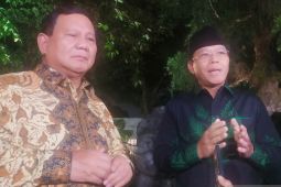 PPP: Pertemuan Jokowi dan ketum parpol tak bahas "reshuffle"