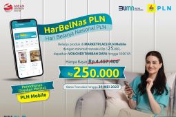Promo Harbelnas, PLN Beri Voucher Tambah Daya Listrik, Begini Caranya