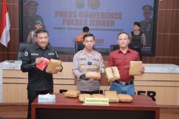 Sita 10 kg ganja, Polres Jember tangkap sindikat pengedar lintas pulau
