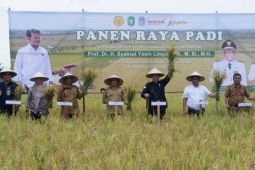 Kenaikan HET beras tingkatkan NTP pangan di Kalimantan Barat