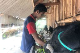 Usaha produktif warga binaan Rutan Negara diminati konsumen