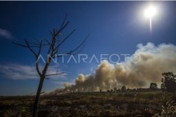 Hadapi El Nino, Tapin Kalsel lakukan mitigasi Karhutla