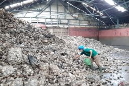 Jumlah pengangguran di Kalbar hingga Februari 2023 berkurang 10,14 ribu orang