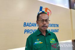 BPS: Tenaga kerja Papua Barat bertambah 16.615 orang