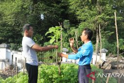 Pj Gubernur Babel ajak OPD tanam sayuran guna dukung "BLUEGREEN"