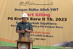 Badan Pangan bahas penyesuaian harga gula di tingkat petani