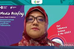 IDA sebut 2.500 bayi yang lahir di Indonesia berpotensi terkena kelainan darah merah